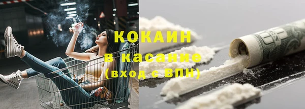 ГАЛЛЮЦИНОГЕННЫЕ ГРИБЫ Михайлов