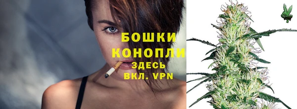 ГАЛЛЮЦИНОГЕННЫЕ ГРИБЫ Михайлов