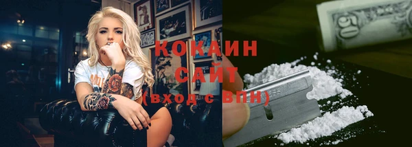 ГАЛЛЮЦИНОГЕННЫЕ ГРИБЫ Михайлов