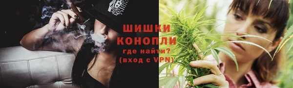 ГАЛЛЮЦИНОГЕННЫЕ ГРИБЫ Михайлов