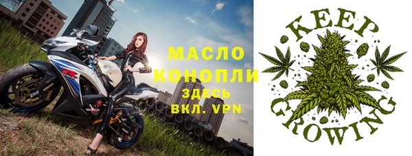 ГАЛЛЮЦИНОГЕННЫЕ ГРИБЫ Михайлов