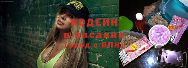 ГАЛЛЮЦИНОГЕННЫЕ ГРИБЫ Михайлов