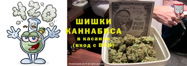 ГАЛЛЮЦИНОГЕННЫЕ ГРИБЫ Михайлов