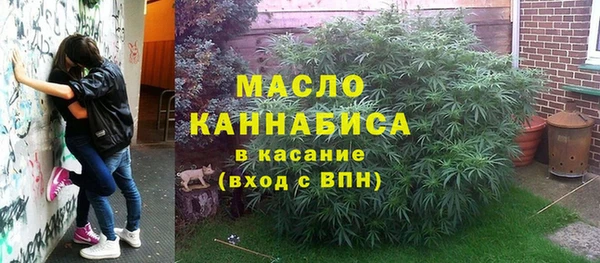 ГАЛЛЮЦИНОГЕННЫЕ ГРИБЫ Михайлов