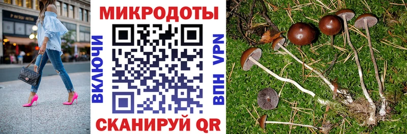 Псилоцибиновые грибы Cubensis  площадка Telegram  Олонец 
